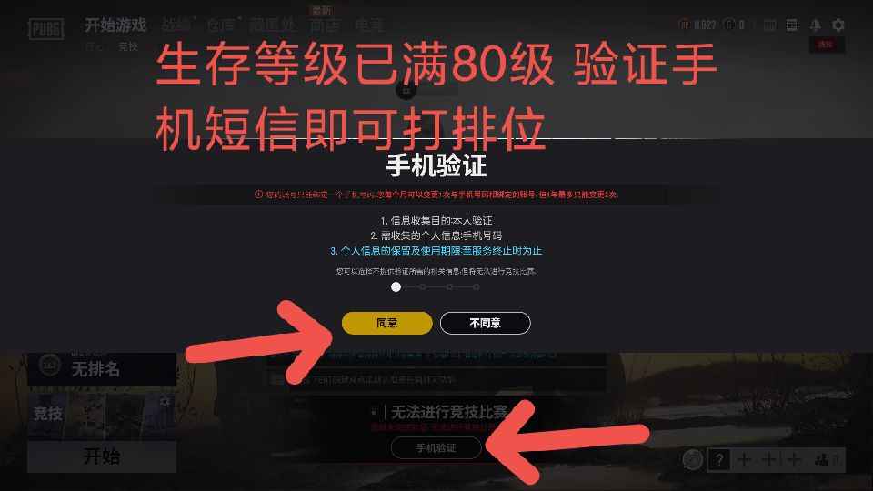 绝地求生（PUBG）绝地求生80级竞技排位号