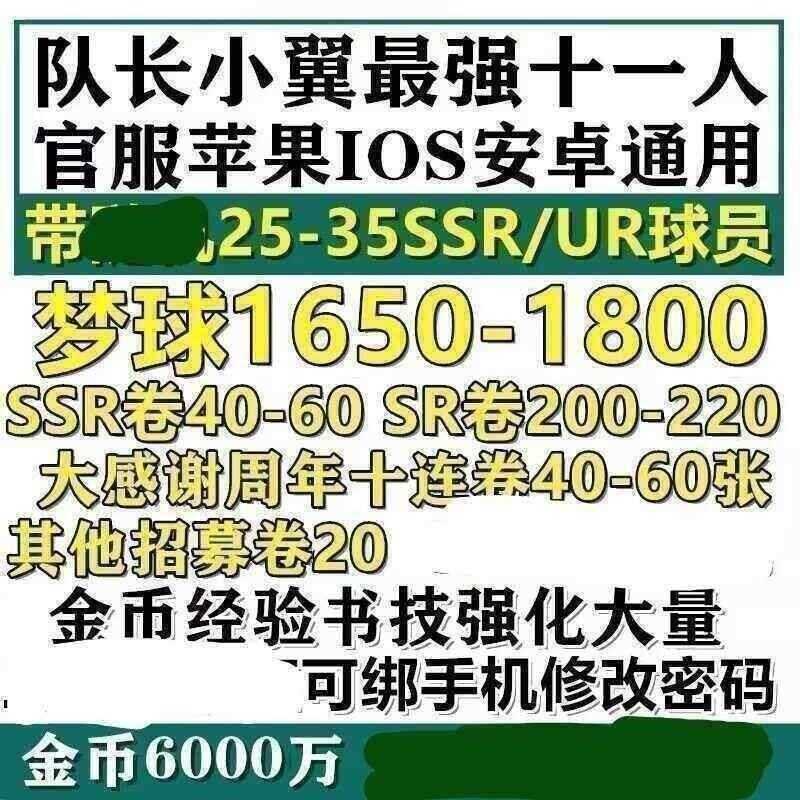队长小翼：最强十一人【官服】【0级】带25-35SSR/UR球员梦