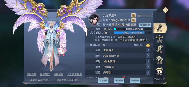 斗破苍穹：异火重燃充值8000，绝版翅膀，退游号