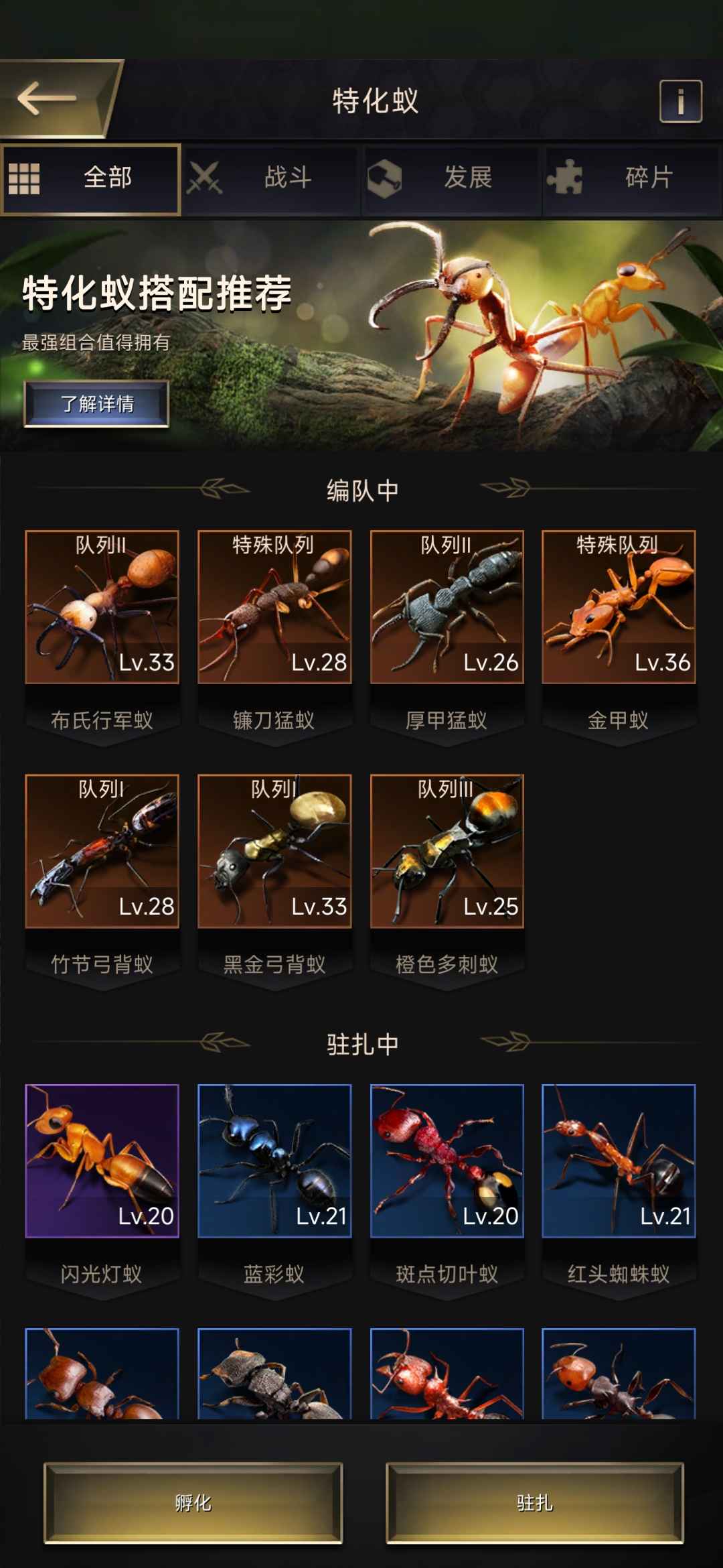 小小蚁国【18级】[19级]七金蚁vip5资源号