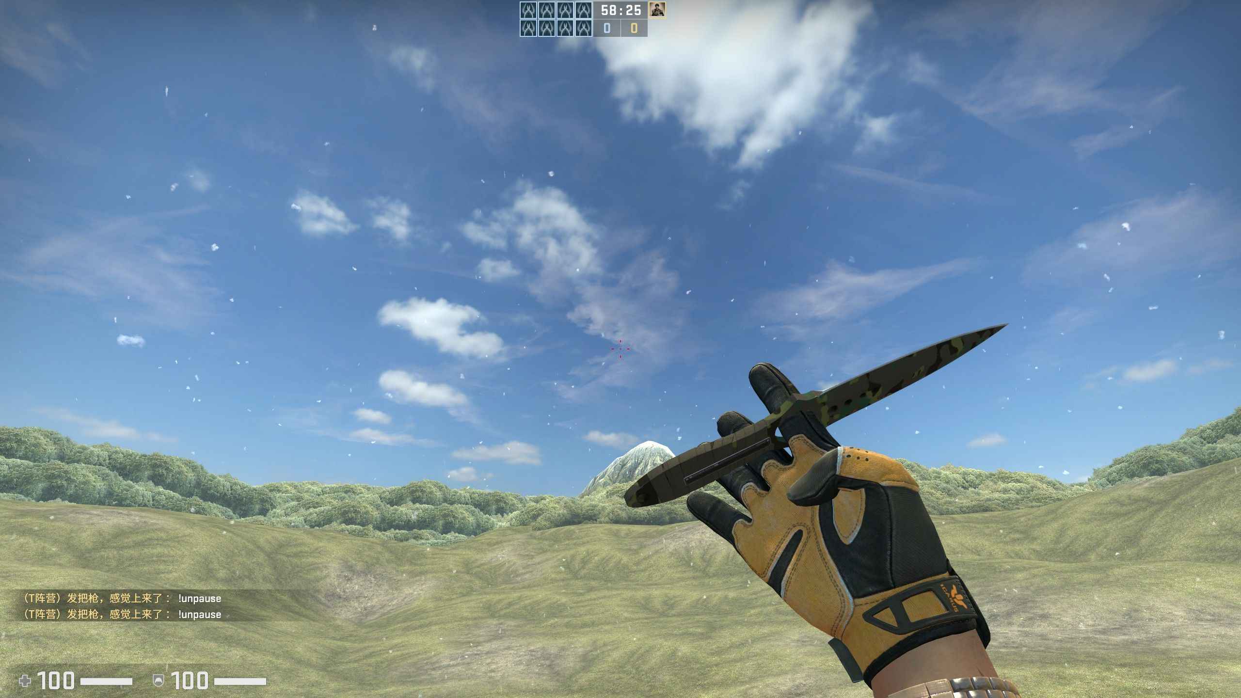 CSGO看图，绿信优先