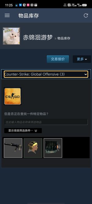 CSGOCsgo半衰期音乐盒 勋章