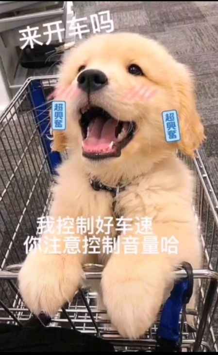 奶块【6级】神圣套5000命运声望