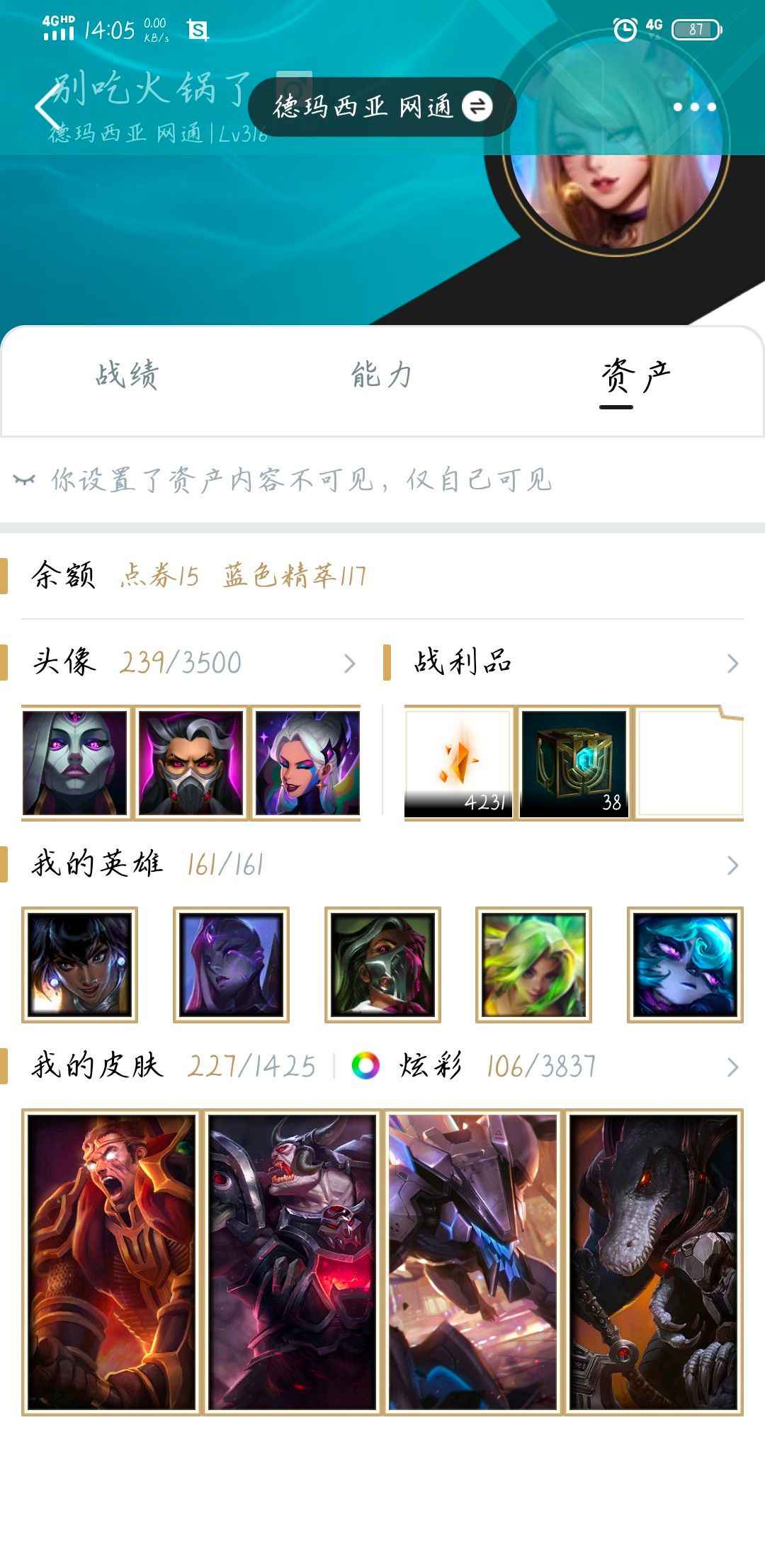 英雄联盟（LOL）【161英雄227皮肤】德玛西亚227皮肤全英雄可改身