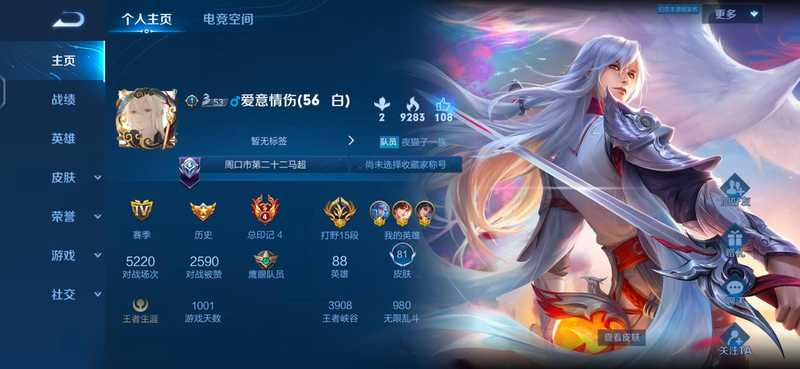 王者荣耀【30级】历史多金标，限定皮肤多
