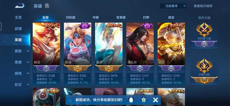 王者荣耀【30级】历史多金标，限定皮肤多