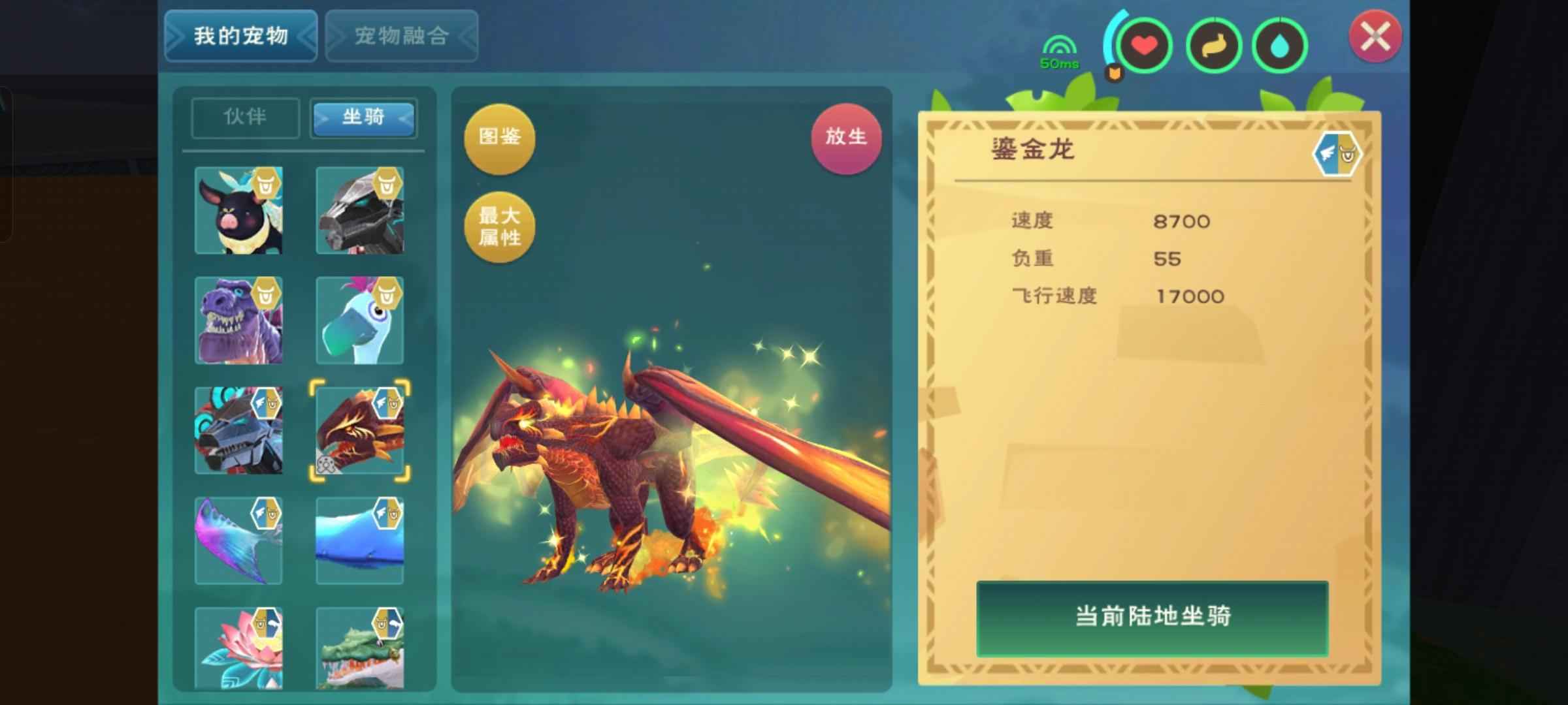 创造与魔法金龙、飞暴、宠物、服饰、武器皮