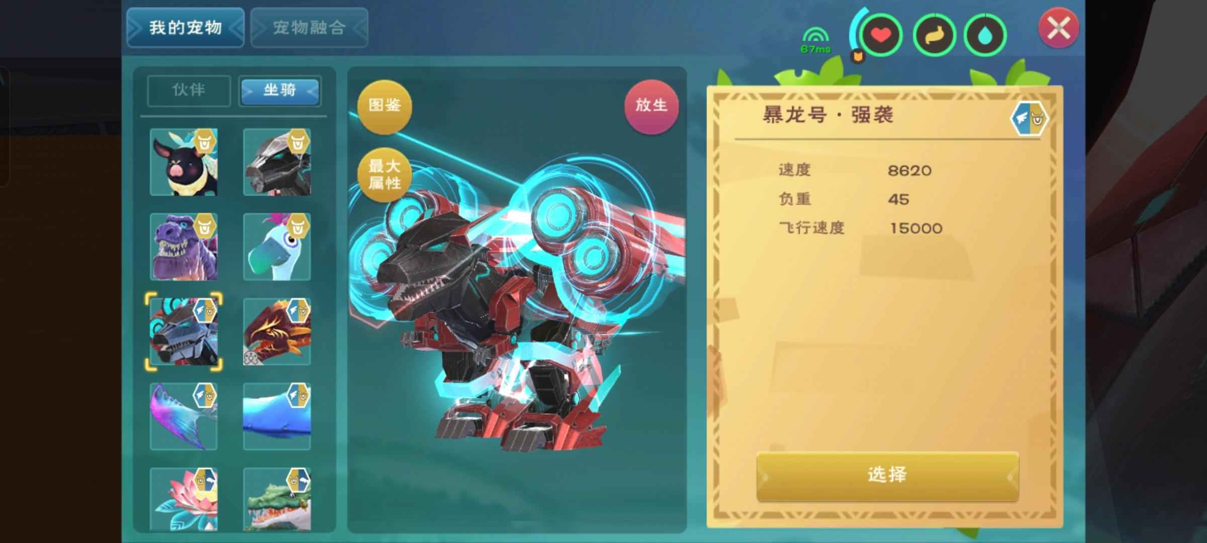 创造与魔法金龙、飞暴、宠物、服饰、武器皮