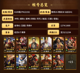 三国志战略版汽油汽油汽油