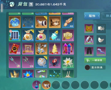 创造与魔法【69级】飞天家园派遣号宠物都有