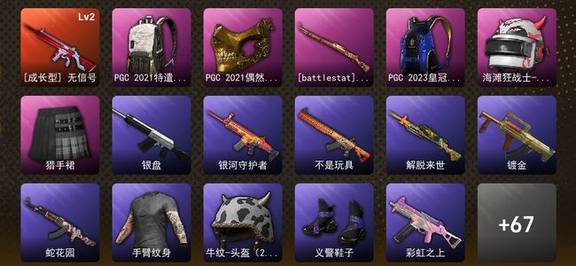 绝地求生（PUBG）1成长武器 1传说枪皮 生存等级164级