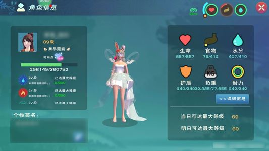 创造与魔法【69级】高服饰多宠女号