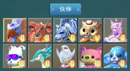 创造与魔法三条飞龙，宠物、武器皮可以小砍