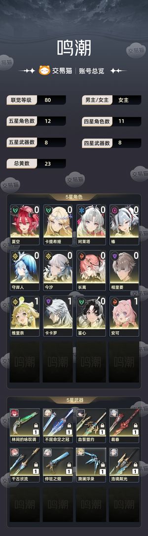 鸣潮【80级】鸣潮战双开服自建捆绑号
