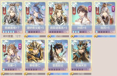 三国志幻想大陆【52级】 姜维服首区五火姜一火菜