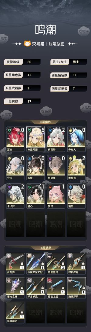 鸣潮【80级】 61卡提21柯莱塔