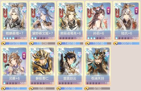 三国志幻想大陆【56级】 两万氪返利