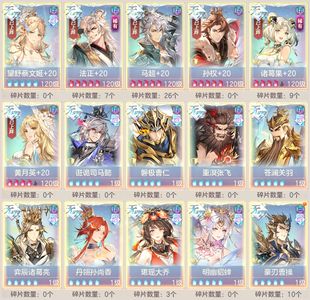 三国志幻想大陆【绽荧10级】 2850亿榜一，两百魂券看背包