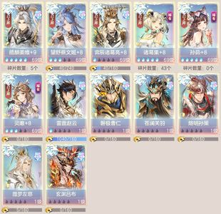 三国志幻想大陆【69级】 五火姜维有特效
