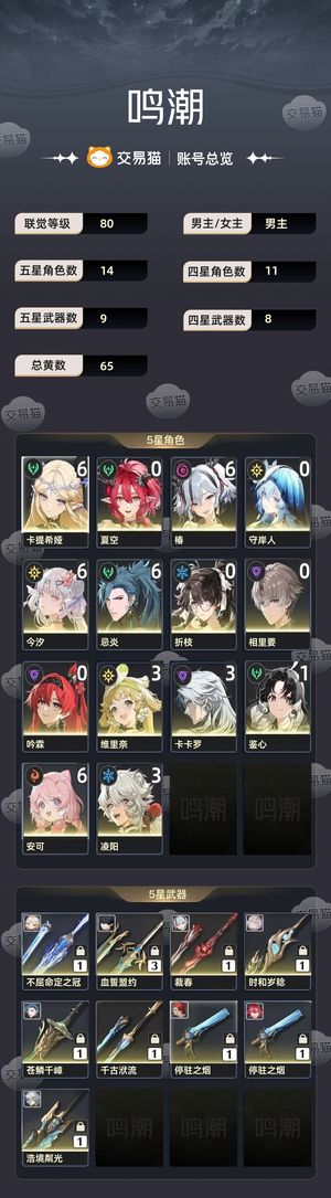 鸣潮【80级】 4个6命主c