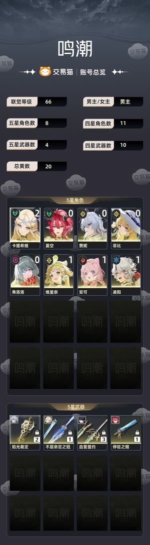 鸣潮【66级】 21卡提风蚀队