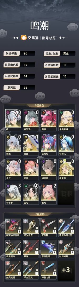 鸣潮【80级】 全皮肤多角色专武号