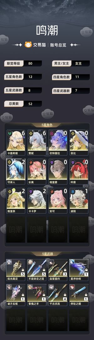 鸣潮【80级】 65卡提65赞菲