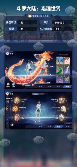 斗罗大陆：猎魂世界【53级】63级，612k战力火队