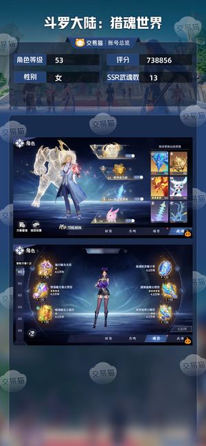 斗罗大陆：猎魂世界【53级】740k极品号红二虎持续加强中
