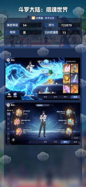 斗罗大陆：猎魂世界【54级】 双月卡，进度号卖出去前每天拉满