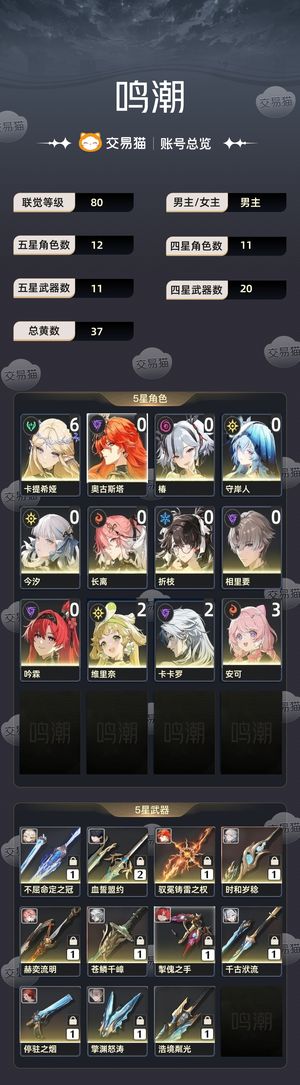 鸣潮【80级】 61卡提01奥古9up低探索