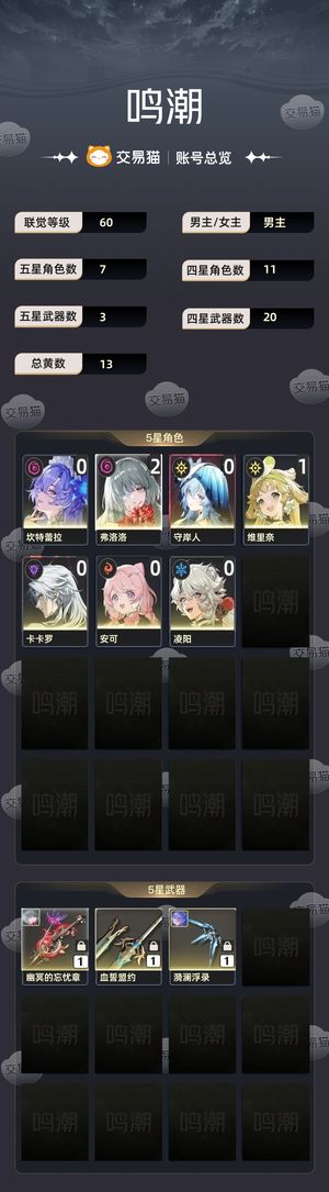 鸣潮【60级】 21毕业弗有暗队