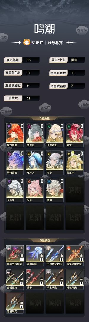 鸣潮【75级】 卡提希娅奥古斯塔弗洛洛守岸人