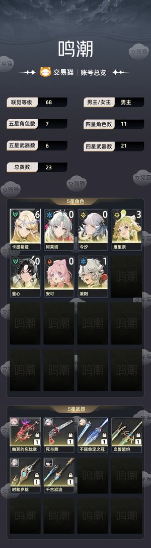 鸣潮【68级】 6 1卡提希娅