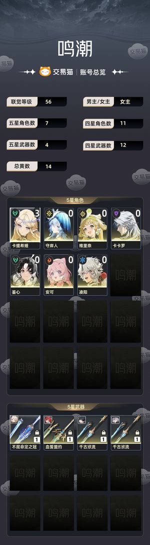 鸣潮【56级】 双黄3 1卡提＋守岸人