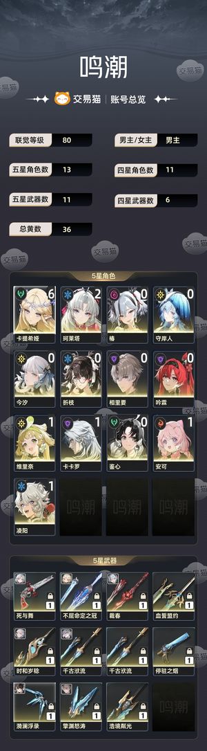 鸣潮【80级】 61卡提21柯160多抽