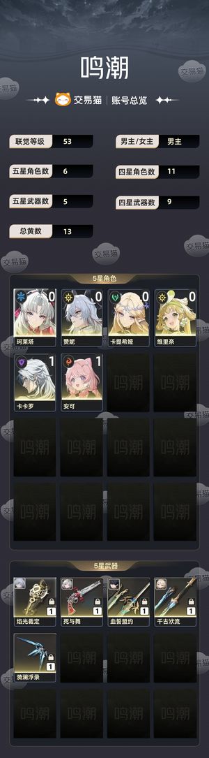 鸣潮【53级】 多角色和专武