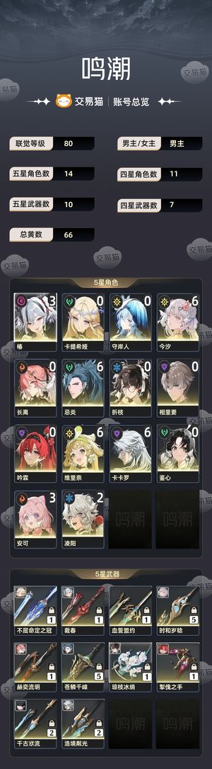 鸣潮【80级】 65今夕 忌炎配队齐全 多资源