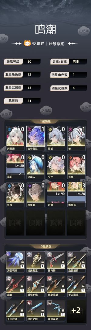 鸣潮【80级】 没时间玩了