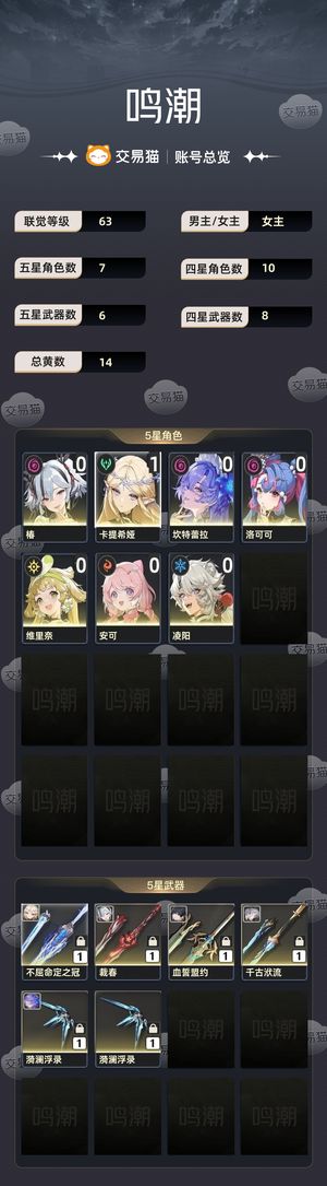 鸣潮【63级】 1＋1卡提希娅 0＋1椿