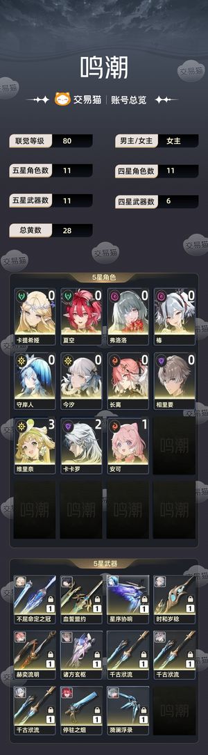 鸣潮【80级】 多金武多金角色队伍很多