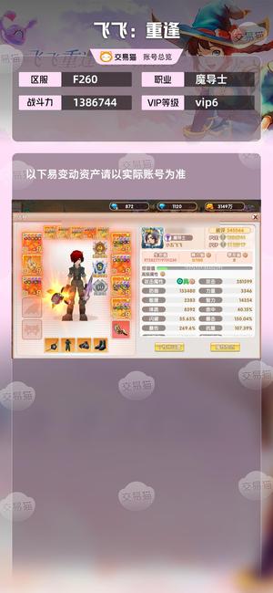 飞飞：重逢【苹果版】【82级魔导士】双光环红武多9套法师