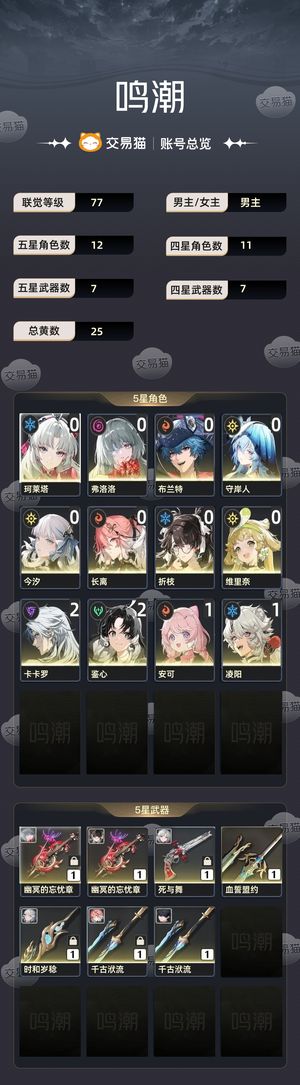 鸣潮【77级】 七个限定角色已练