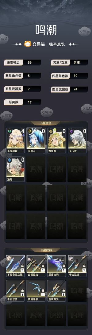 鸣潮【56级】 41卡提，01守岸人，有翅膀