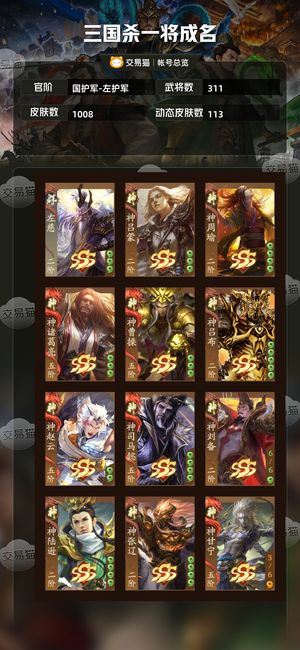 三国杀一将成名（三国杀十周年）【国护军-左护军】官服手机双神武双乐311将国护
