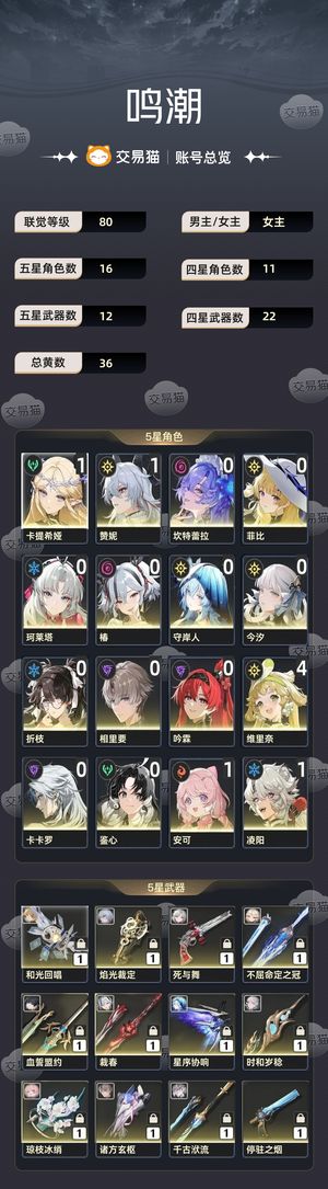鸣潮【80级】 80级退坑号