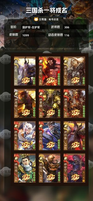 三国杀一将成名（三国杀十周年）【国护军-左护军】 自用，看上可拍，不还价