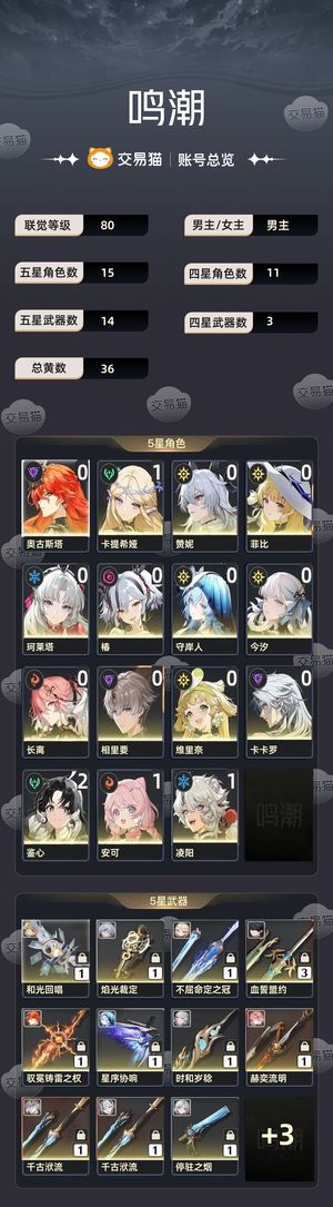 鸣潮【苹果版】【80级】 高练，角色基本都有专武