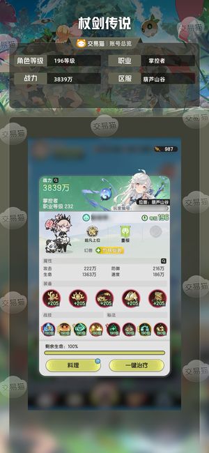 杖剑传说【196级】万氪3800万贤者，赛季前十