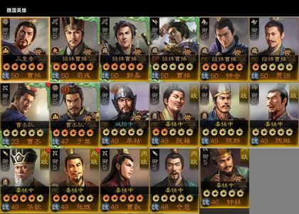 三国志战棋版800一套动态典藏满红香